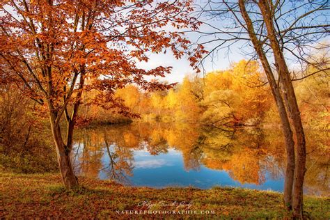 Le Paysage de la Table des Rêves : Une Symphonie Chromatique de la Nature Captivatrice!