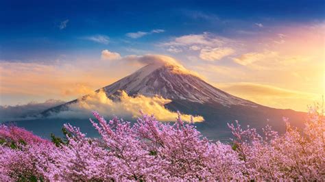 Le Mont Fuji au printemps dansant avec des couleurs vives et une composition asymétrique!