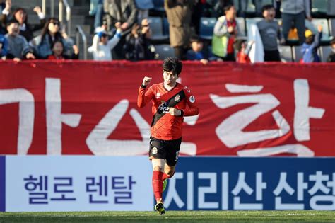 포항 대 fc 서울, 그리고 축구장에서 만난 고양이